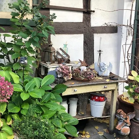 Platzhirsch Seligenstadt - Im Herzen der Altstadt Exterior foto